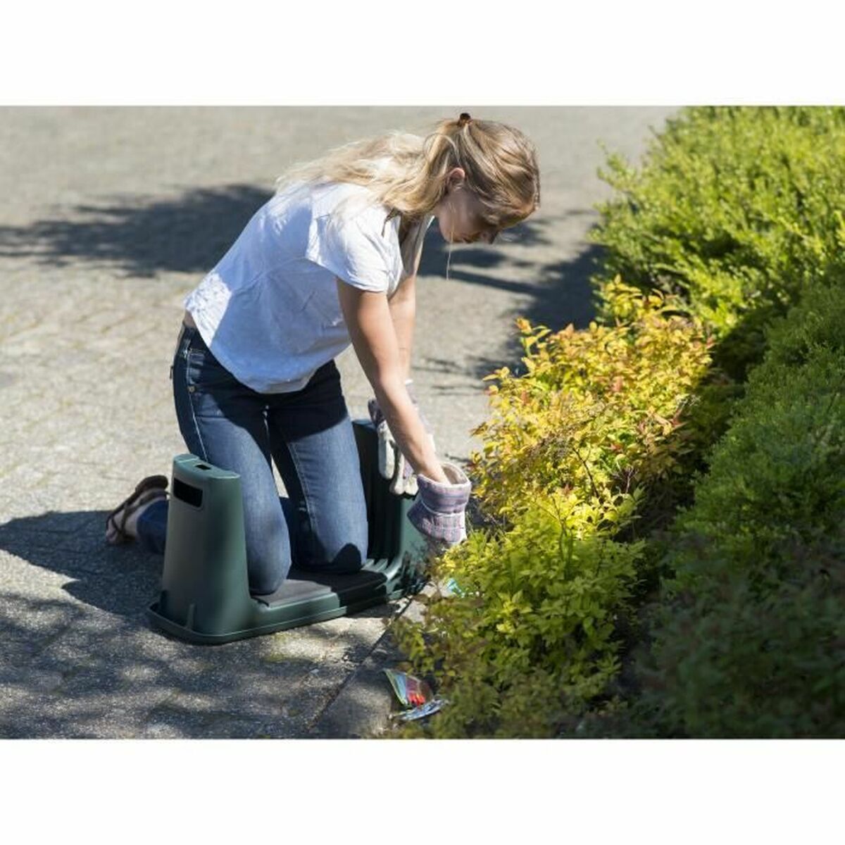 V8H1F6FFF695A291FF598AD669216A5BC7BR3435338P5