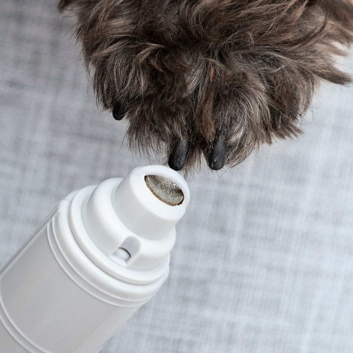 V13H3A79531FE372D8C3542B131C958C2D73R7712042P2