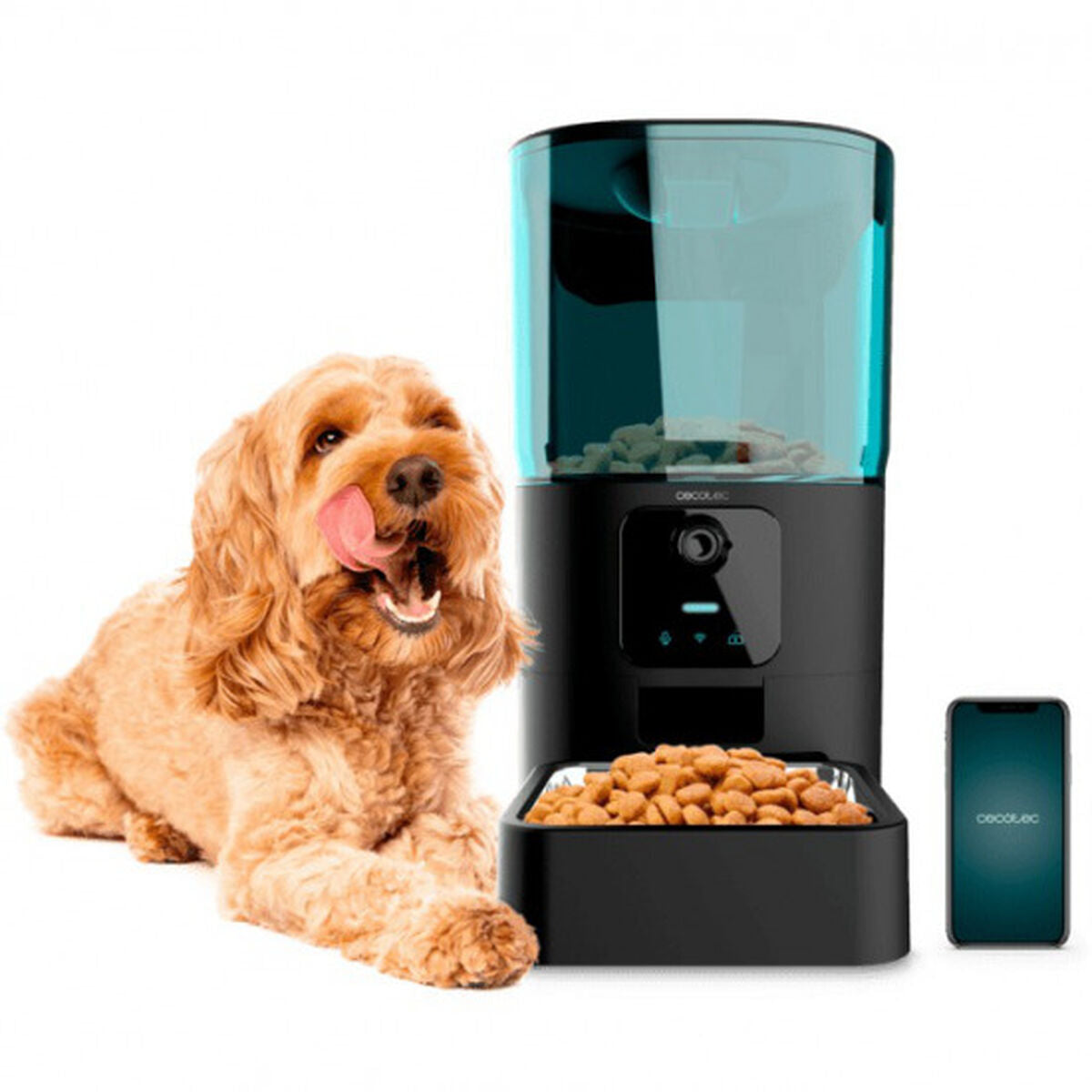 Automatic feeders