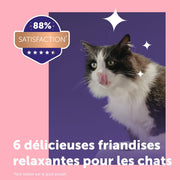 V2H3EE564239EBBC15699808559E04CAFAAR7725808P2