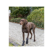V5H021DAD93BC1E7D1CEB84C67339B24440R7451786P7